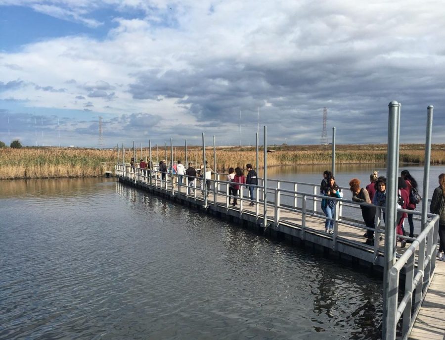 Lessons on the Environment: Students Study Wind, Metals and Birds